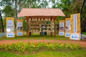 vitoria-da-conquista-reconhece-abelhas-sem-ferrao-como-patrimonio-natural-do-municipio